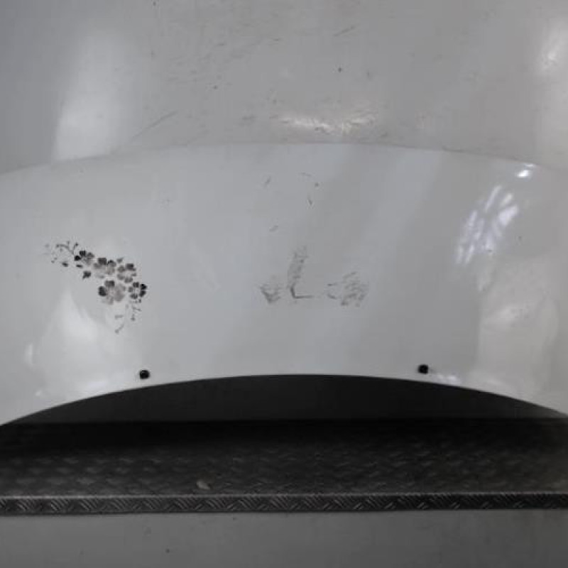 Capot PEUGEOT EXPERT 1 Capot PEUGEOT EXPERT 1