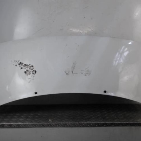 Capot PEUGEOT EXPERT 1 Photo n°1