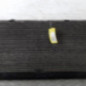 Radiateur eau VOLKSWAGEN TRANSPORTER 4