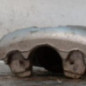 Etrier avant gauche (freinage) RENAULT ZOE 2