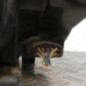 Optique avant principal droit (feux)(phare) FORD C-MAX 1