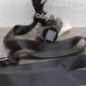 Ceinture arriere gauche FORD C-MAX 2