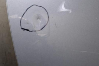 Porte arriere gauche TOYOTA AVENSIS 3 Photo n°3