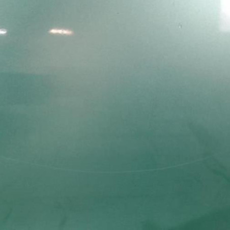 Porte arriere gauche OPEL AGILA B