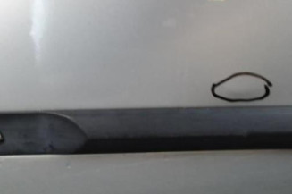 Porte arriere gauche DACIA LOGAN 1