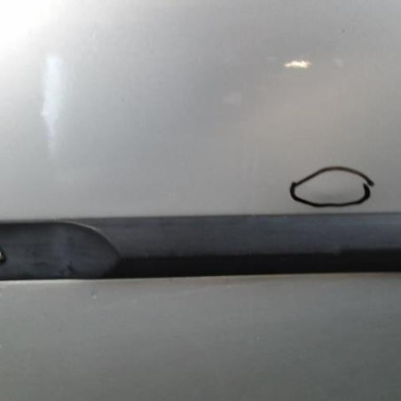 Porte arriere gauche DACIA LOGAN 1