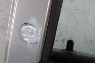 Porte arriere gauche DACIA LOGAN 1 Photo n°5