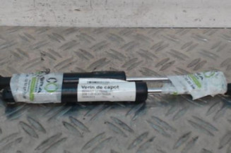 Verin de capot RENAULT ZOE 1 Photo n°1