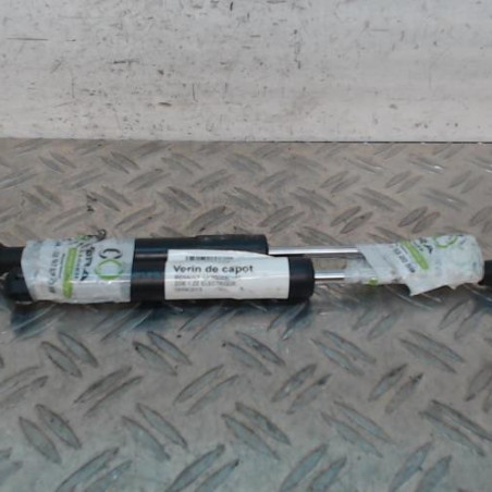Verin de capot RENAULT ZOE 1 Photo n°1