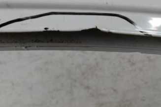 Porte avant droit RENAULT KANGOO 1 Photo n°3