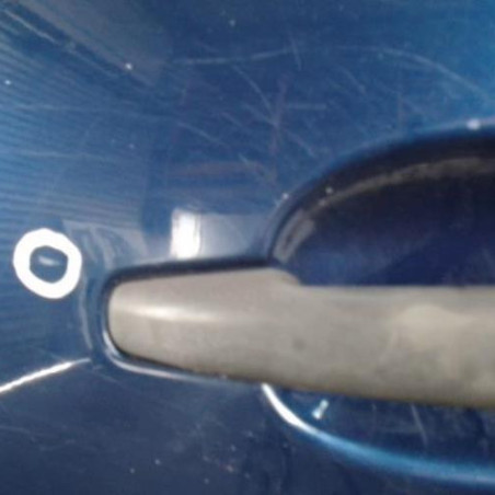 Porte arriere gauche CITROEN C4 PICASSO 1
