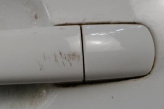 Porte arriere gauche PEUGEOT 207