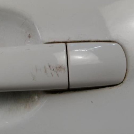 Porte arriere gauche PEUGEOT 207