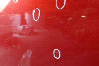 Porte arriere gauche DACIA SANDERO 1