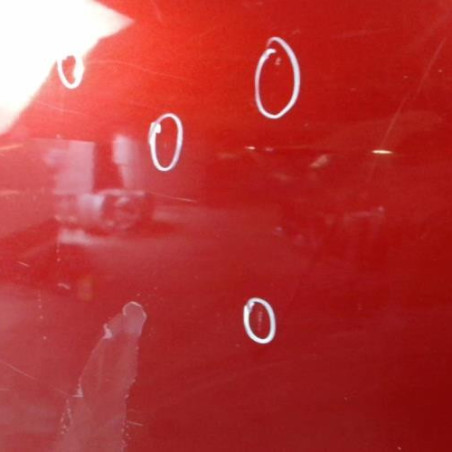 Porte arriere gauche DACIA SANDERO 1