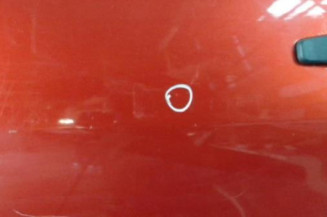Porte arriere gauche DACIA SANDERO 1 Photo n°3