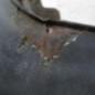 Pare choc arriere VOLKSWAGEN GOLF 3