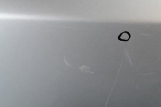 Porte arriere gauche BMW X3 E83