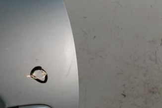 Porte arriere gauche SEAT IBIZA 3