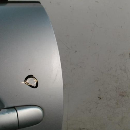 Porte arriere gauche SEAT IBIZA 3