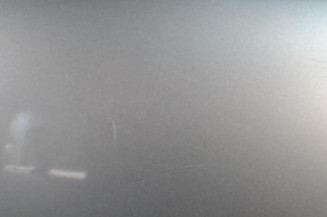 Porte arriere gauche SEAT IBIZA 3 Photo n°3