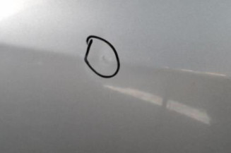 Porte arriere gauche PEUGEOT 307