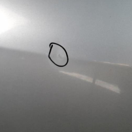 Porte arriere gauche PEUGEOT 307