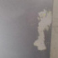 Porte avant gauche AUDI A6 3
