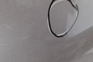 Porte avant gauche AUDI A6 3 Photo n°3
