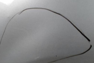 Porte arriere droit BMW X5 E53 Photo n°3