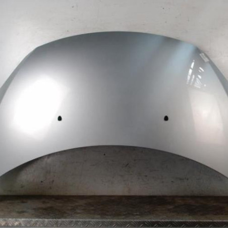 Capot PEUGEOT 307 Photo n°1