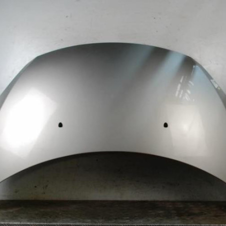 Capot PEUGEOT 307 Photo n°1