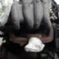 Moteur RENAULT R19