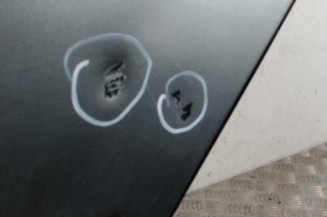 Porte arriere gauche SKODA OCTAVIA 2