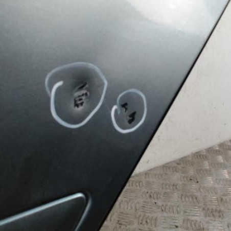 Porte arriere gauche SKODA OCTAVIA 2