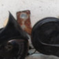 Avertisseur/Klaxon RENAULT ESPACE 4