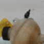 Vase d'expansion PEUGEOT EXPERT 2