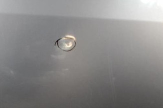 Porte arriere gauche PEUGEOT 306