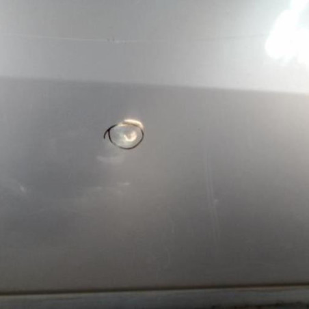 Porte arriere gauche PEUGEOT 306