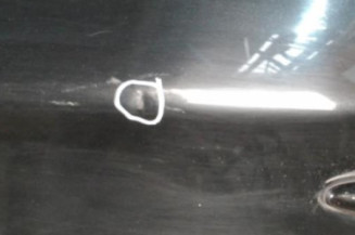Porte arriere gauche BMW SERIE 1 E87 Photo n°3