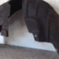 Pare boue arriere droit VOLKSWAGEN BEETLE 2