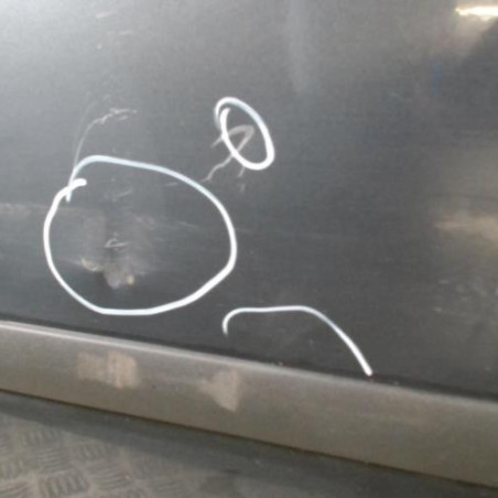 Porte avant gauche FORD FOCUS 2