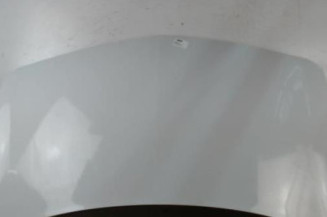 Capot RENAULT MEGANE 2 Photo n°3