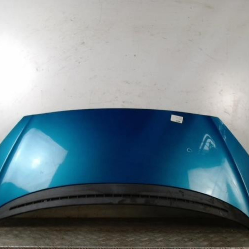 Capot PEUGEOT 1007