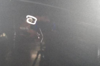 Porte arriere gauche BMW SERIE 5 E60 Photo n°3