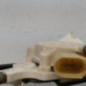 Leve vitre electrique avant droit BMW SERIE 5 E60