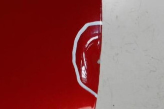 Porte arriere gauche RENAULT MEGANE 3 Photo n°3