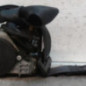 Ceinture avant droit PEUGEOT 308 1