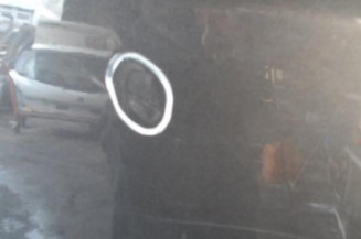Porte avant droit FIAT PUNTO EVO 3 Photo n°3