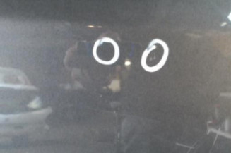 Porte avant droit FIAT PUNTO EVO 3 Photo n°4